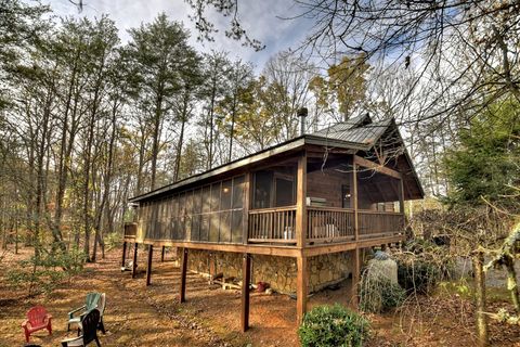 A home in Mineral Bluff