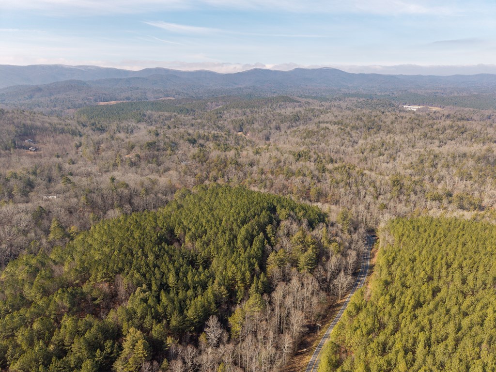 12 ACRE Pleasant Gap Road