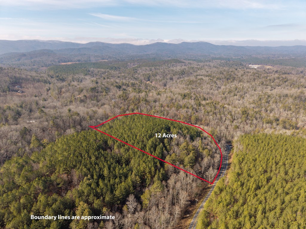 12 ACRE Pleasant Gap Road