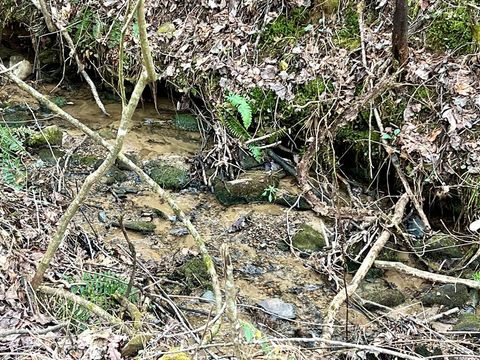 12 ACRE Pleasant Gap Road Ellijay GA 30540