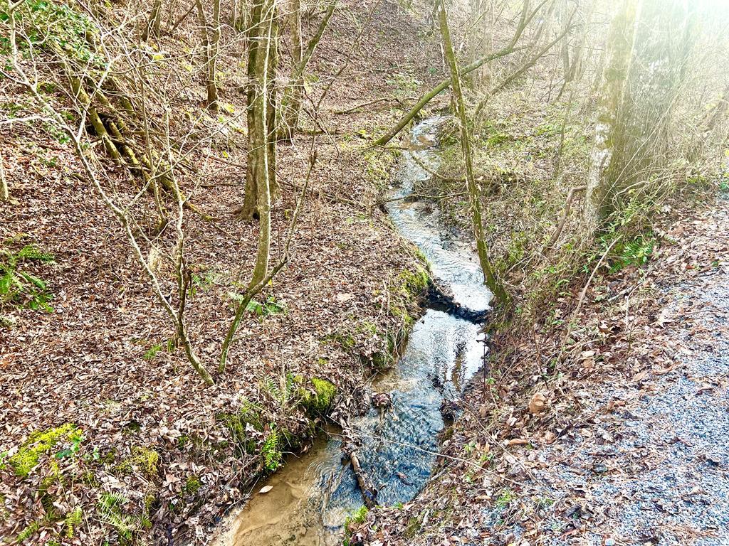 12 ACRE Pleasant Gap Road