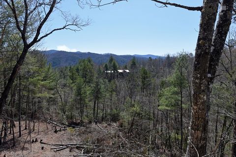 A home in Blue Ridge