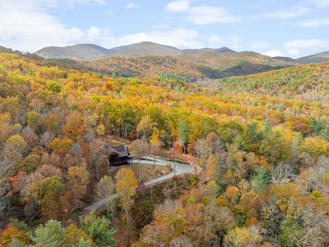 A home in Blue Ridge