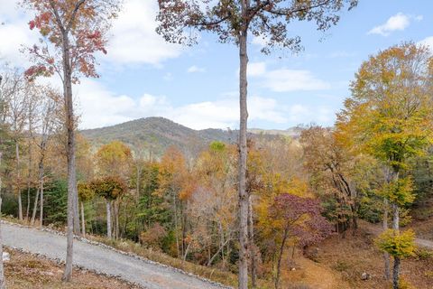 A home in Blue Ridge