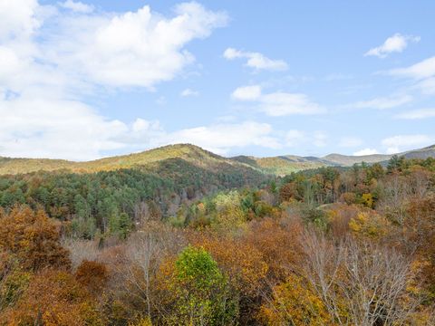 A home in Blue Ridge