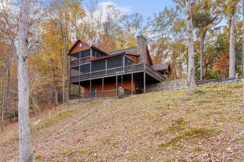 A home in Blue Ridge