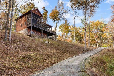 A home in Blue Ridge