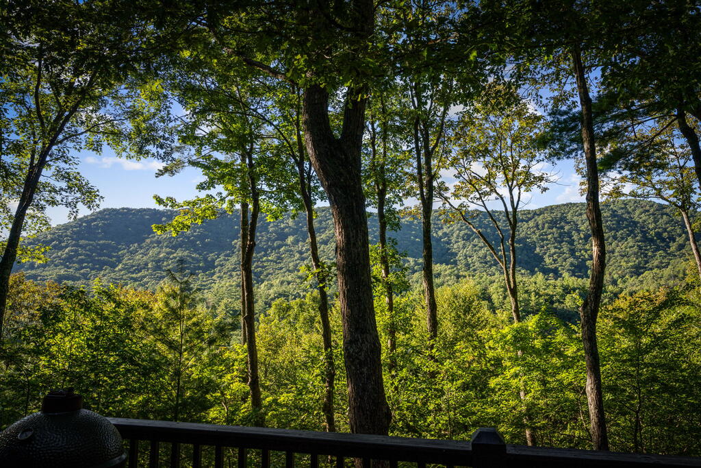 241 Wilderness Way