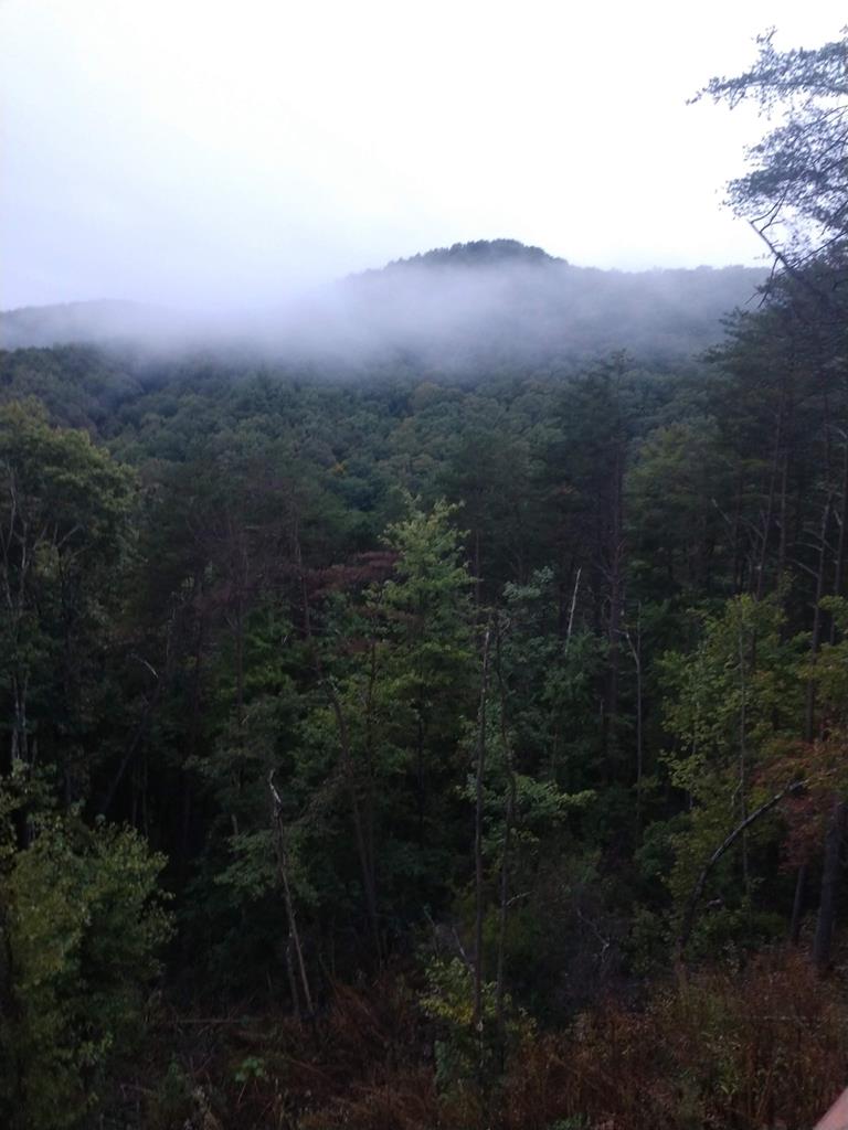 264 Little Rock Creek Court