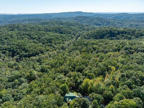 A home in Ellijay