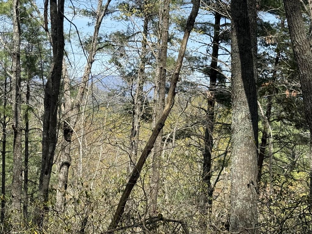 Lot 751 Morton Drive