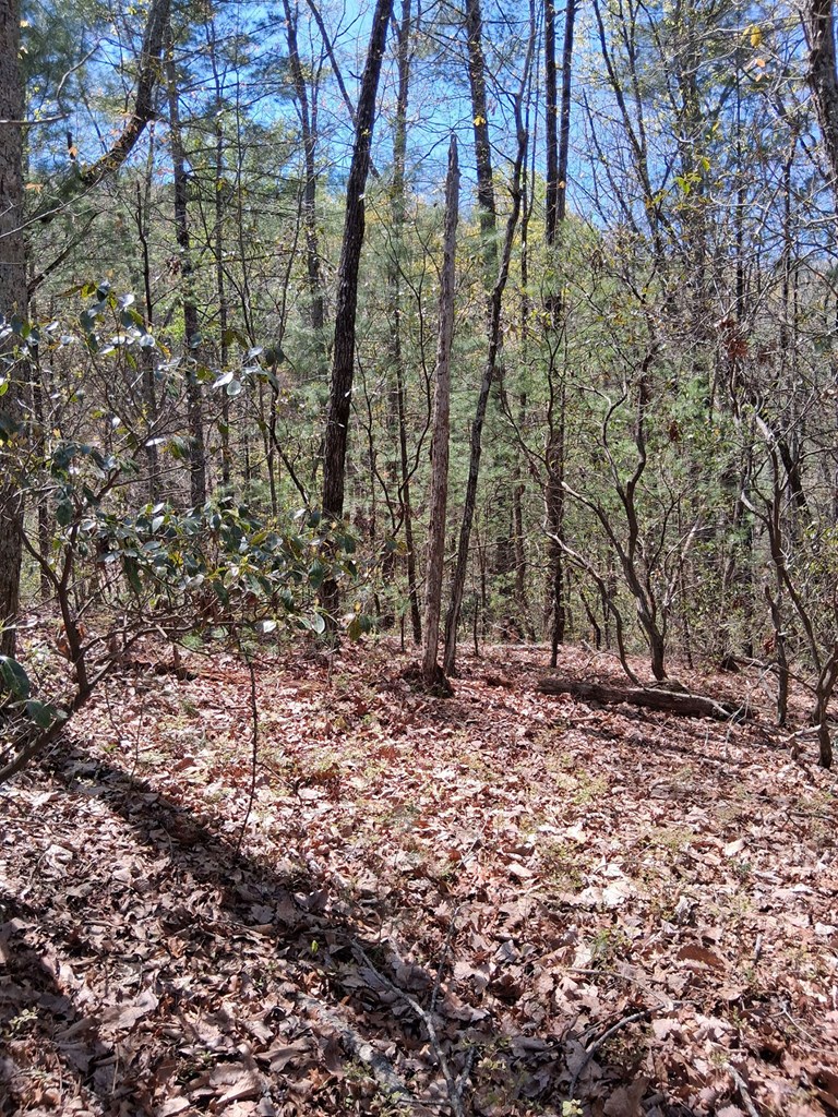 Lot 751 Morton Drive
