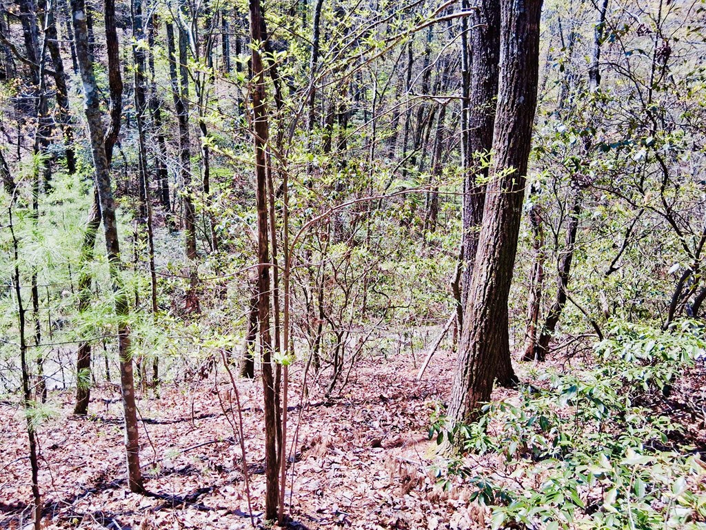 Lot 751 Morton Drive