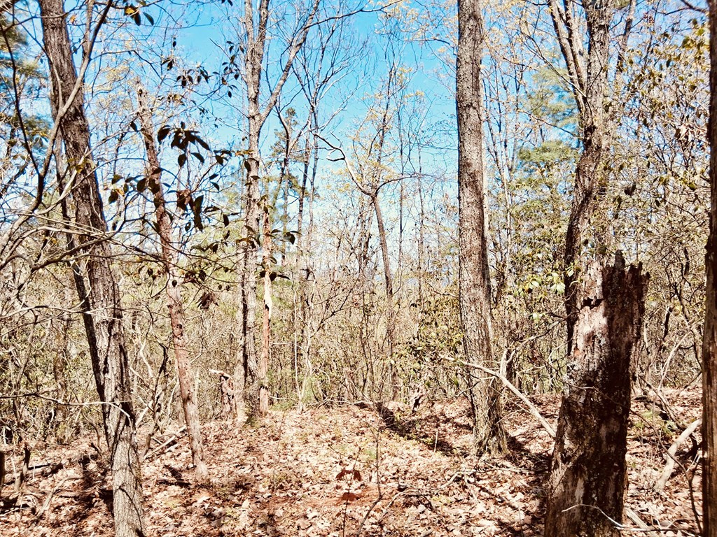 Lot 751 Morton Drive