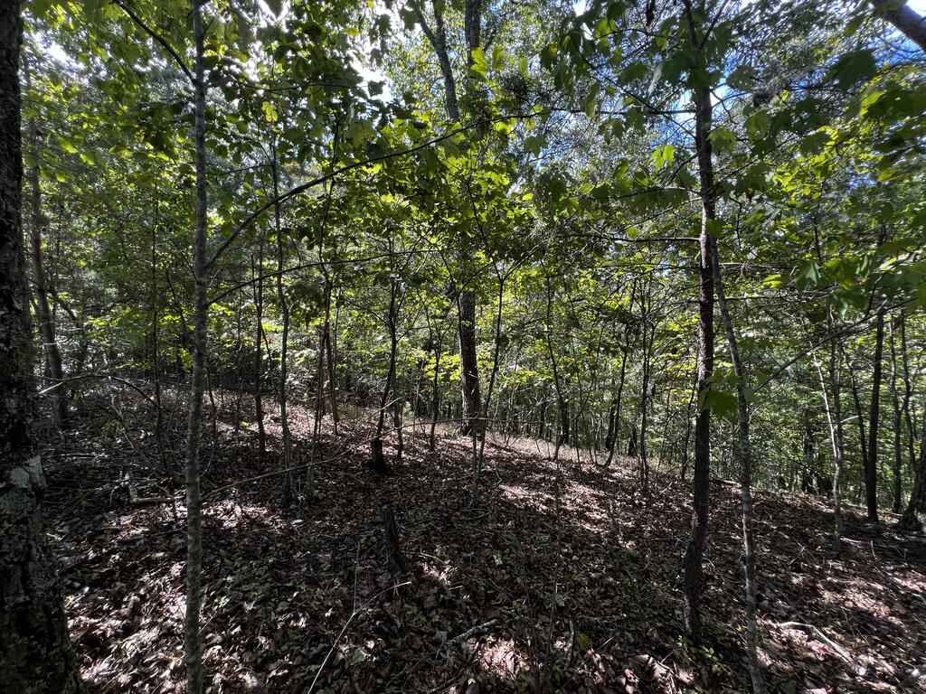 1407 Foxhound Trail