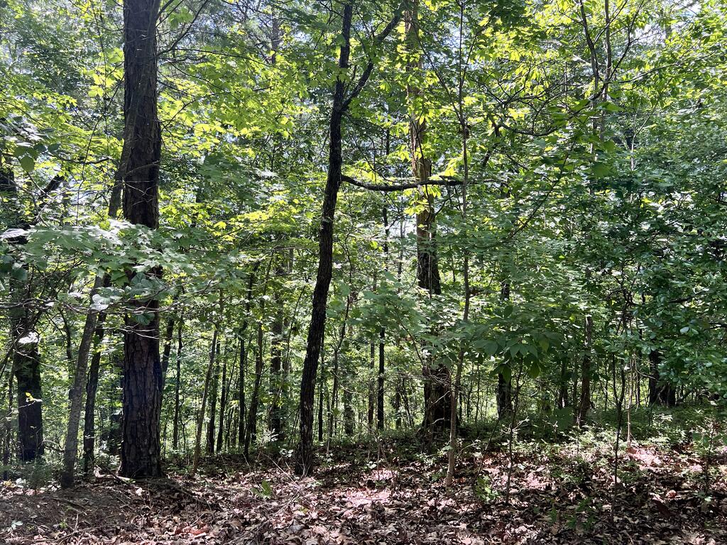 1407 Foxhound Trail