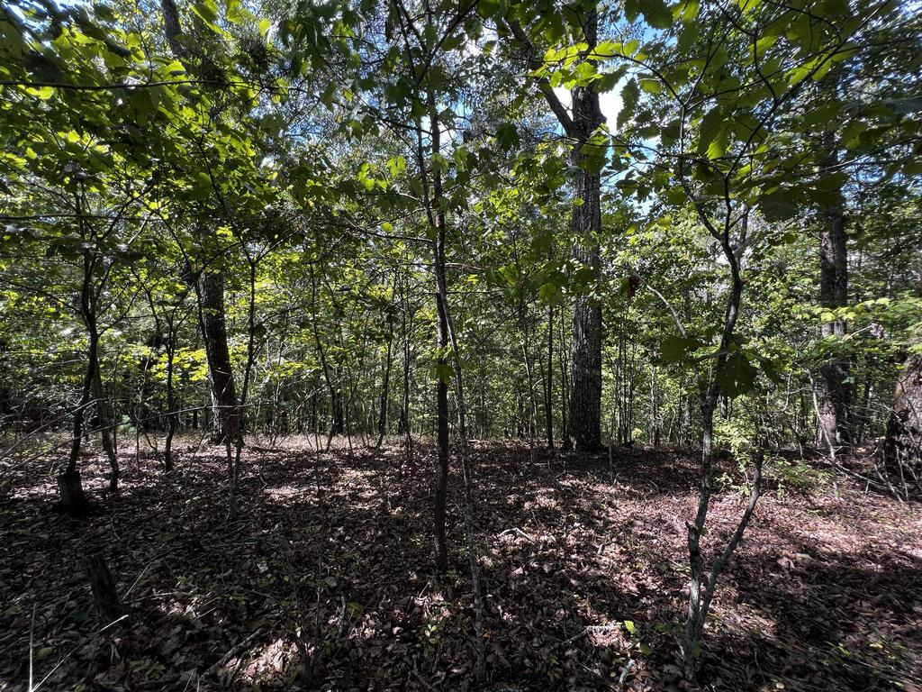 1407 Foxhound Trail