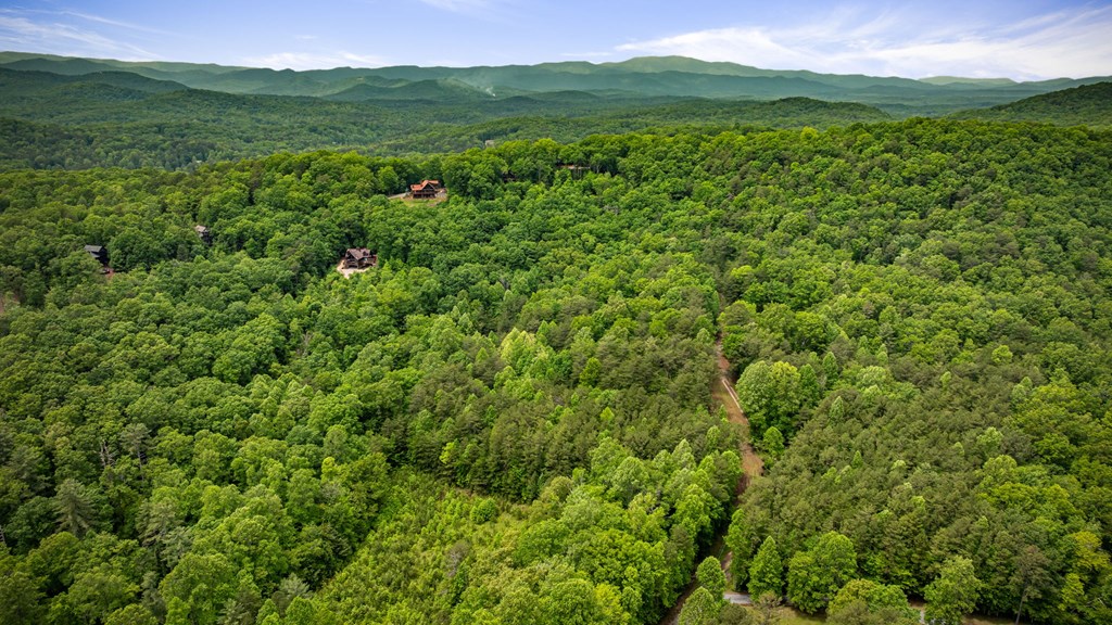 13.67Acs Piney Acres Road