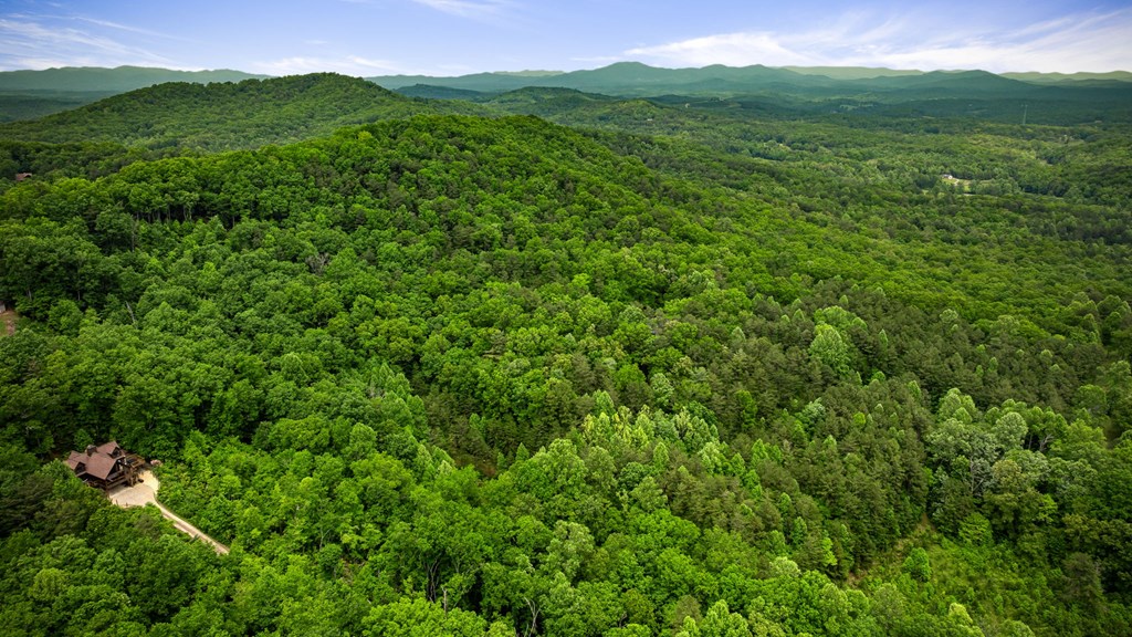 13.67Acs Piney Acres Road