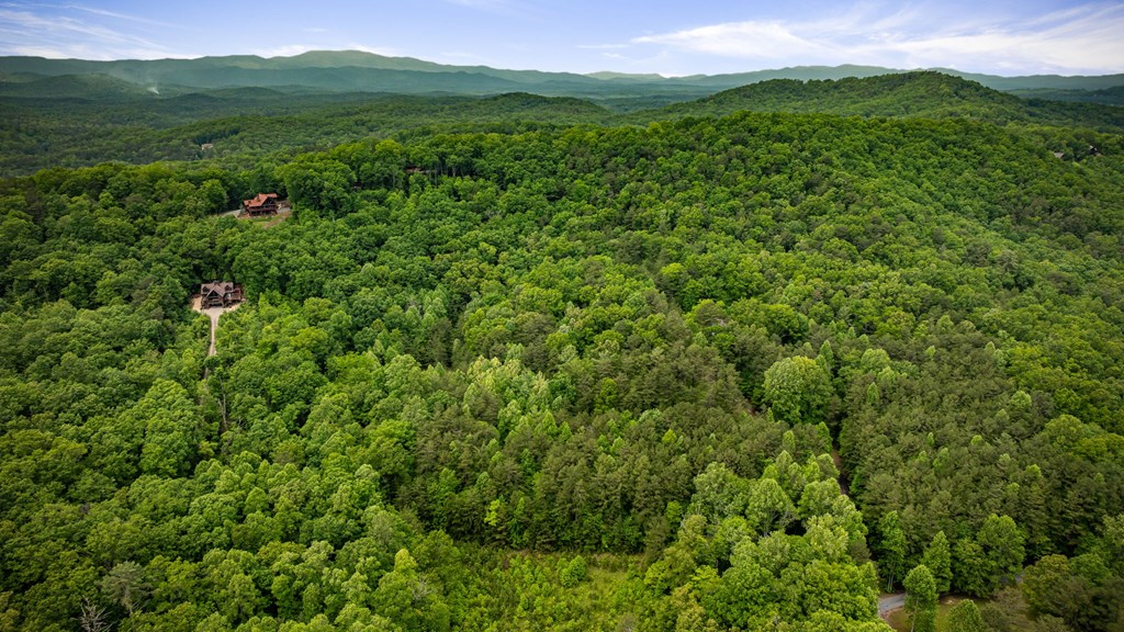 13.67Acs Piney Acres Road