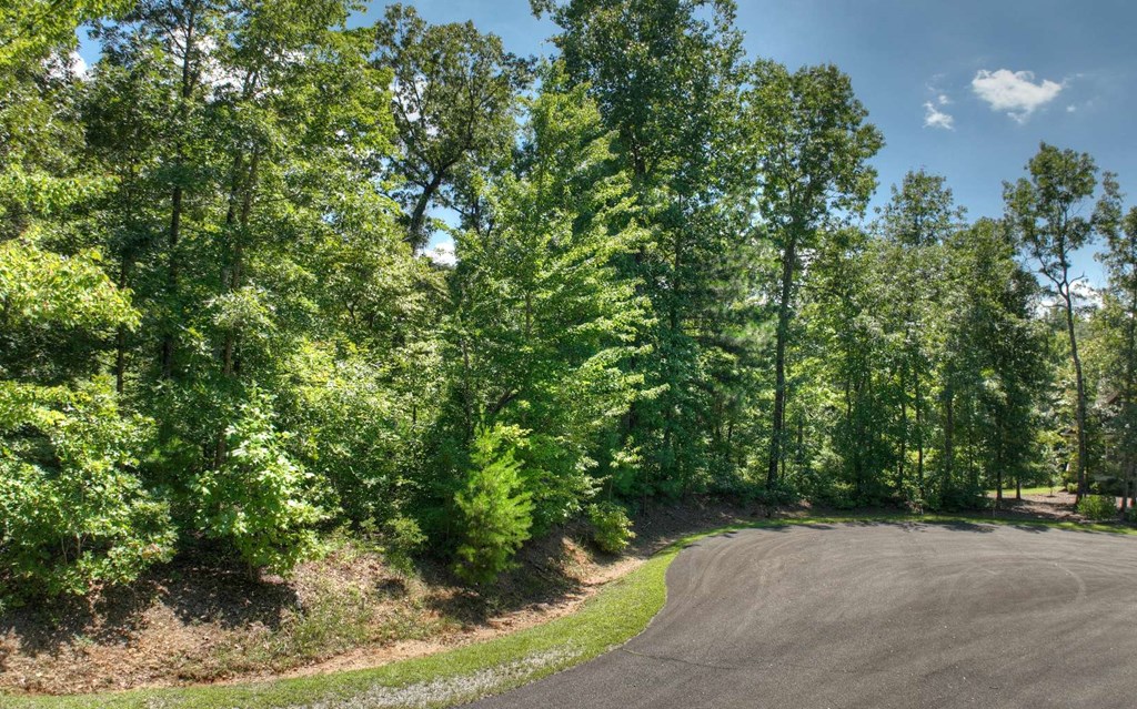 136 Whispering Ridge Court