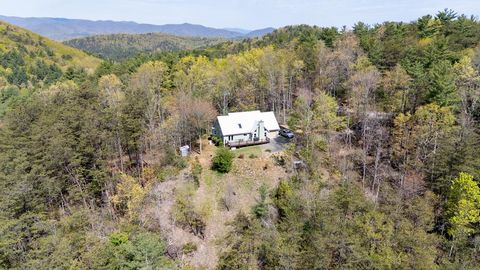 306 Pig Trail Cherry Log GA 30522