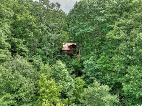 A home in Blue Ridge