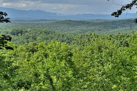 A home in Blue Ridge