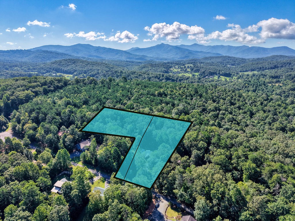 2110 Brasstown Lane