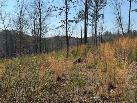 Lot 339 Timber Creek Trail Talking Rock GA 30175