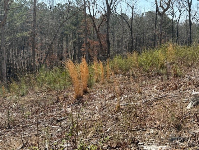 Lot 339 Timber Creek Trail