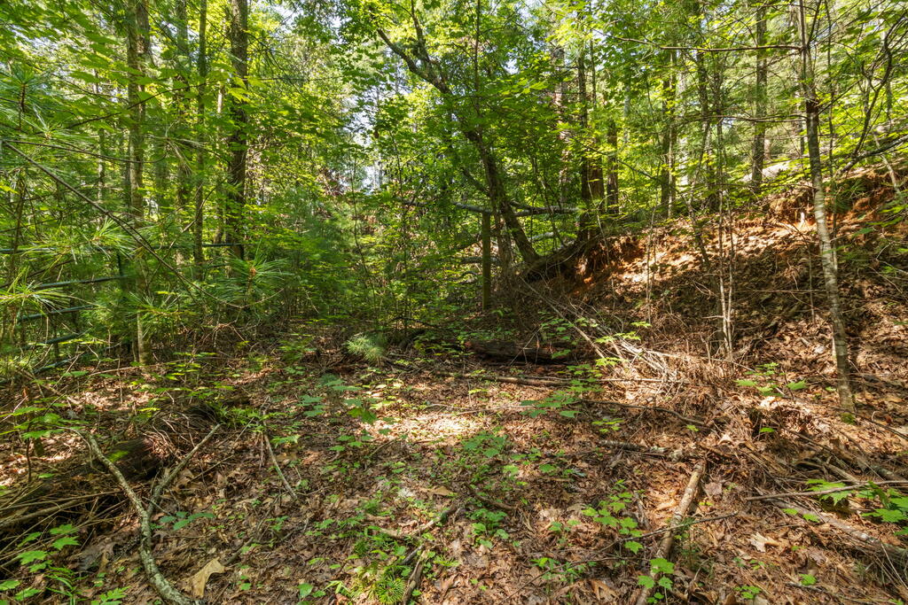 Tract 2A Stevens Ridge Road