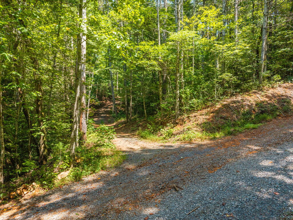 Tract 2A Stevens Ridge Road
