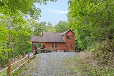 A home in Blue Ridge