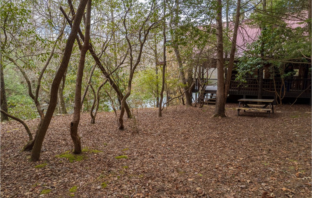 576 Cartecay Cove Lane