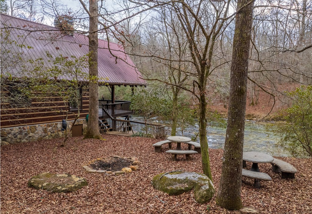 576 Cartecay Cove Lane