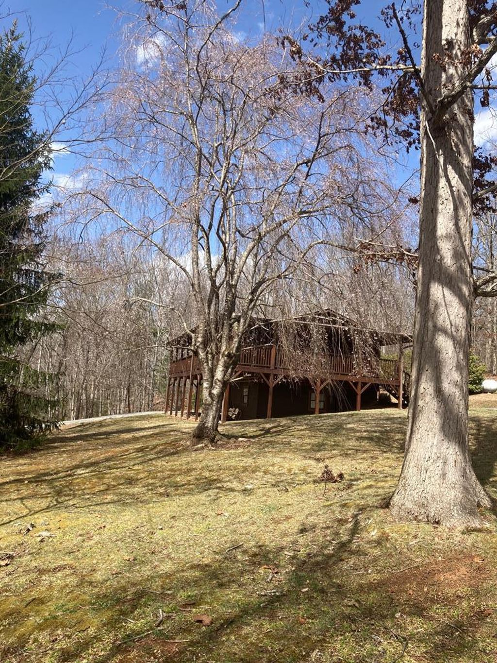 listing image 54