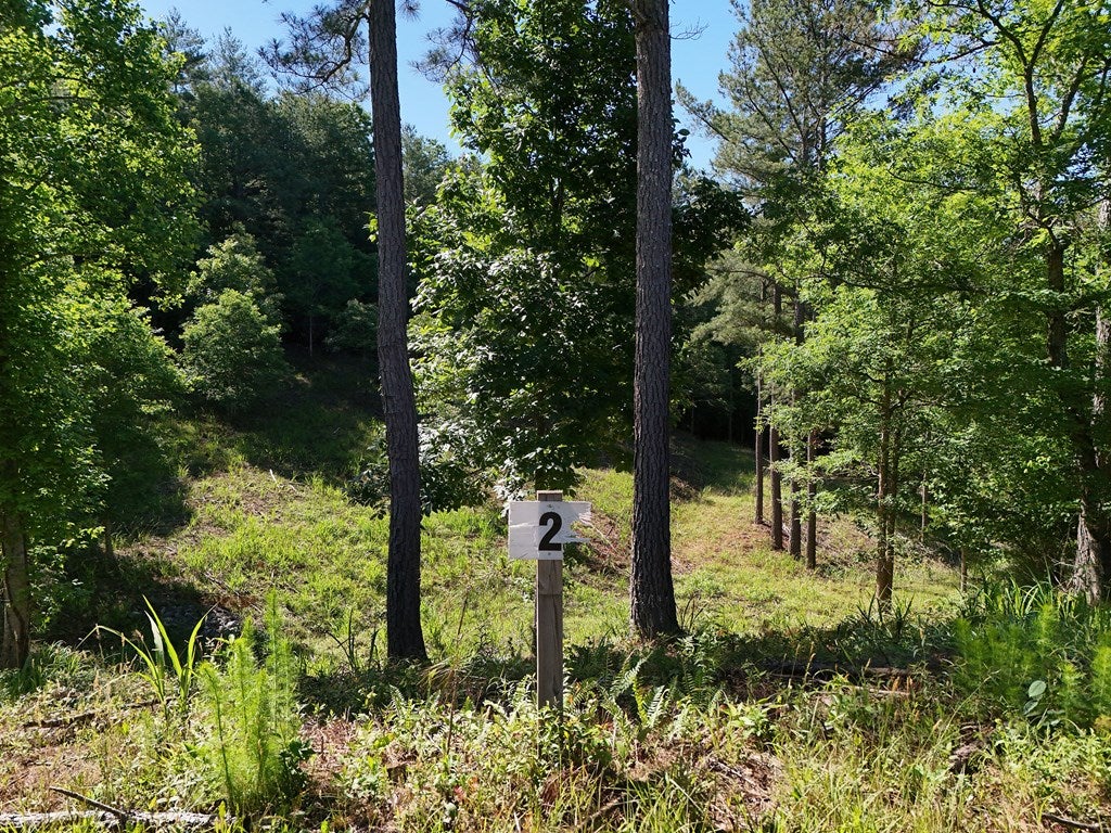 Lot 2 Big Knoll Drive