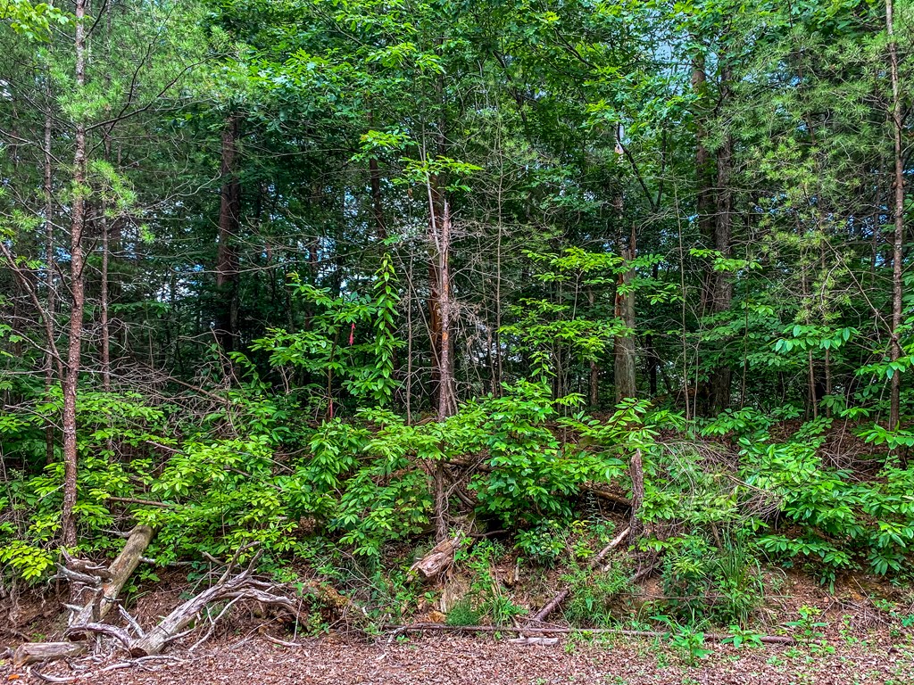 Lot 17 Misty Mountain Trail