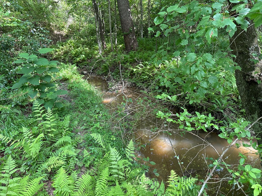 Lot 30 Fairview Drive