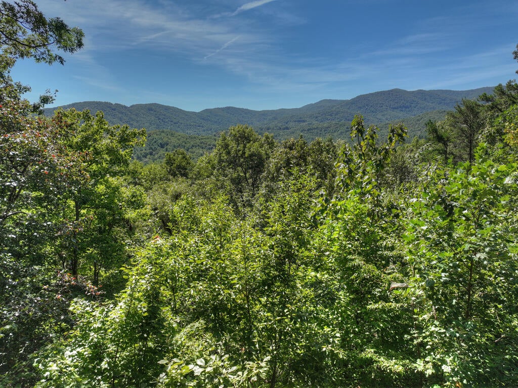 300 Cloudland Trace