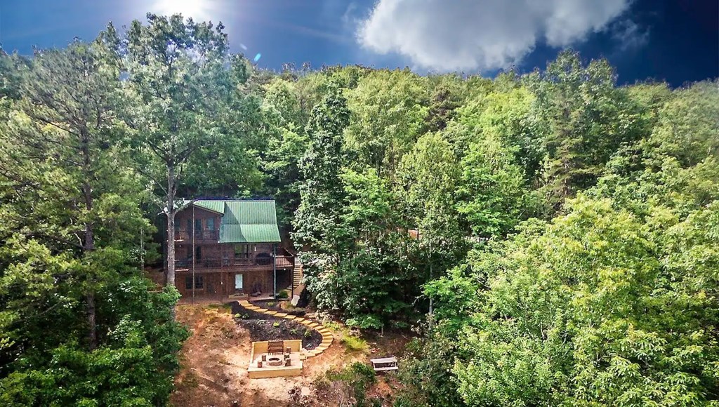 587 Lower Prince Mountain Road