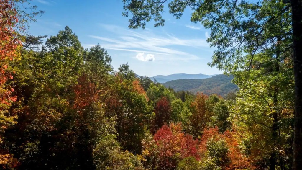 587 Lower Prince Mountain Road