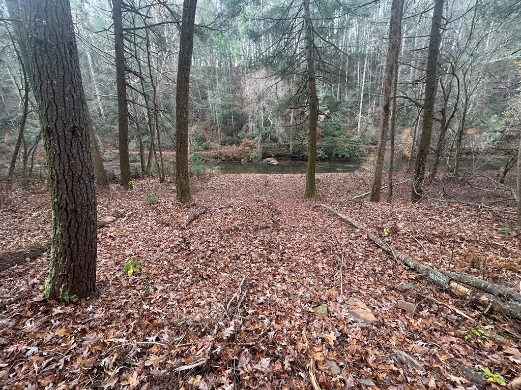 0 Roaring Forks Lane