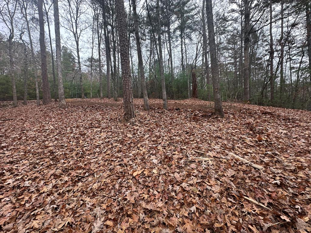 0 Roaring Forks Lane