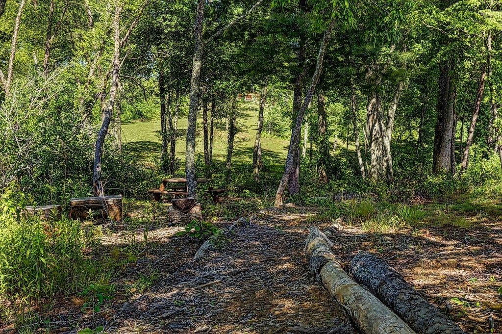 listing image 88