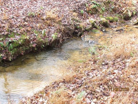 Tr. 5&6 Wikle Road Hayesville NC 28904