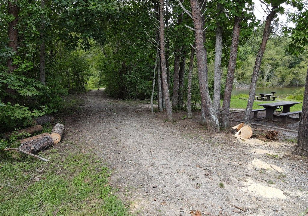listing image 54