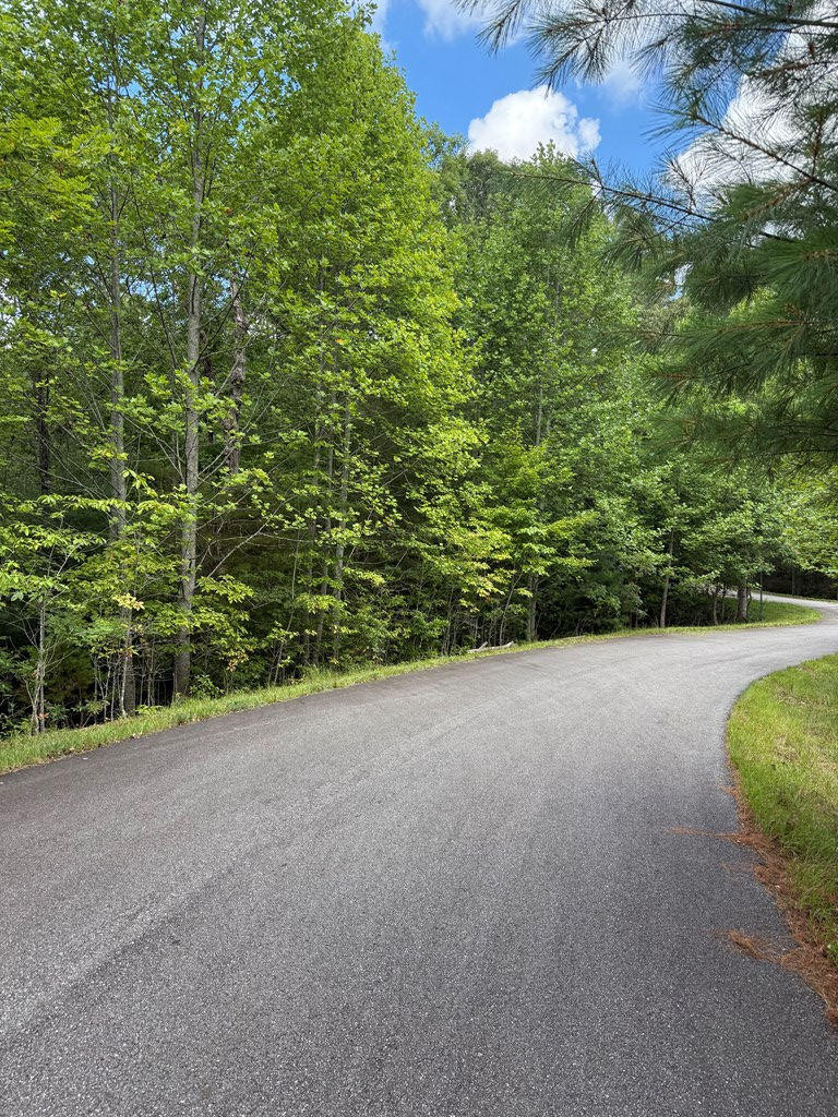 Lot 44 Three Springs Lot 44