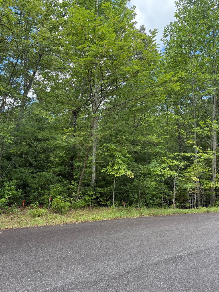 Lot 44 Three Springs Lot 44